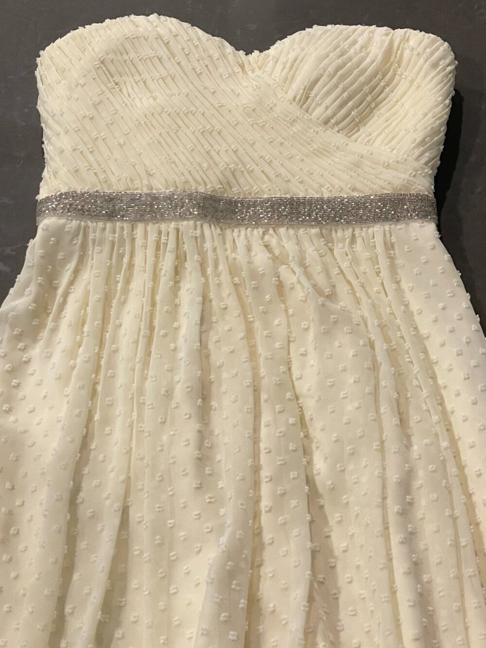 Ivanka Trump Floor Length Swiss Dot Cream and Silver Metallic Beaded Dress